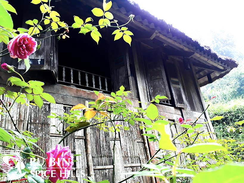 CASSIA-HOUSE_20